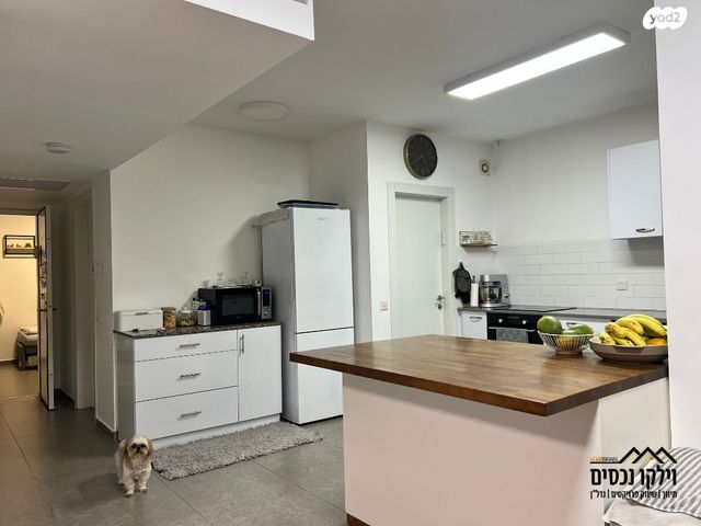 דופלקס, נעמי שמר, נאות שמיר, יבנה