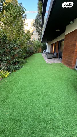 יהודה המכבי 