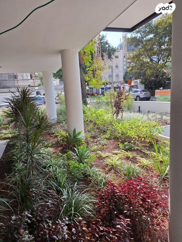 דירה, הצפון החדש - כיכר המדינה, תל אביב יפו