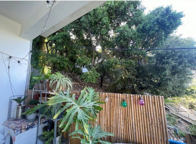 דירה, החשמונאים, כרמל מרכזי - שד' קיש, חיפה