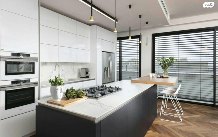 גג/ פנטהאוז, אושה, נווה אביבים, תל אביב יפו