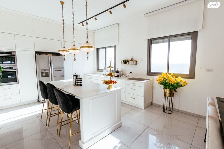 גג/ פנטהאוז, חיים הרצוג, פסגות אפק, ראש העין