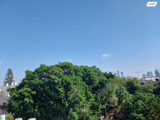 דירה, דיזנגוף 320, הצפון הישן - צפון, תל אביב יפו