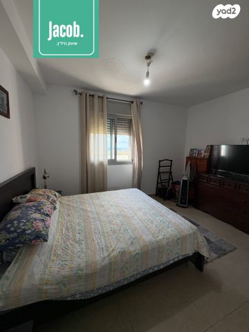 דירה, האגמית, החותרים, טירת כרמל