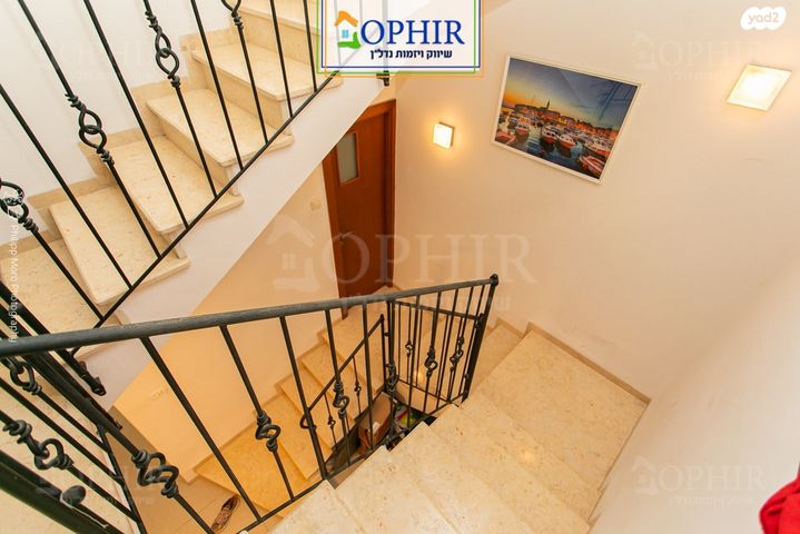 דירת גן, לאה, כרמליה, חיפה