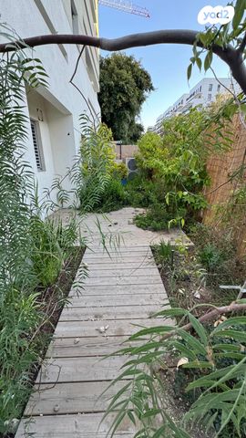 דירת גן, יהודה המכבי, הצפון החדש - צפון, תל אביב יפו