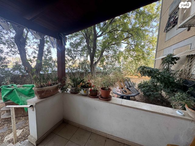 דירת גן, אהבת ישראל, קרית אריה / שיינפלד, בית שמש