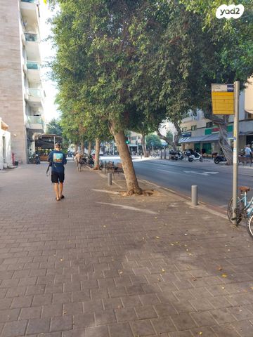 דירה, דיזנגוף 320, הצפון הישן - צפון, תל אביב יפו