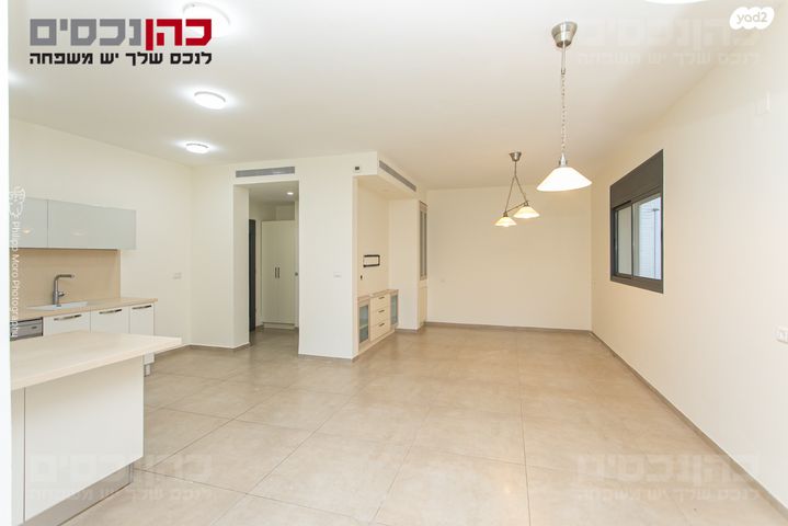 אלברט איינשטיין 