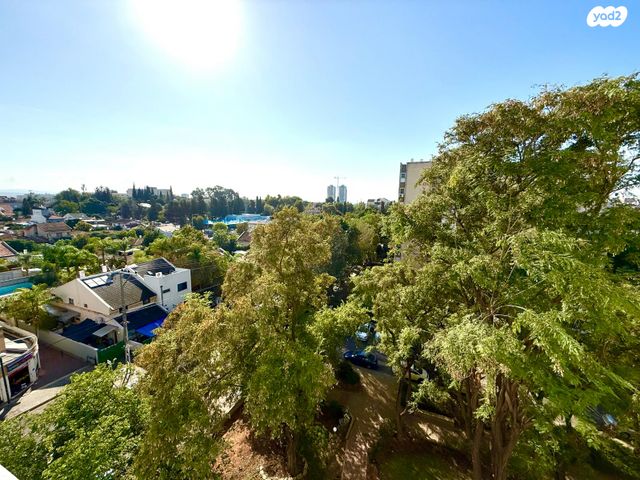 דירה, הגליל, דובדבן הכפר, כפר סבא