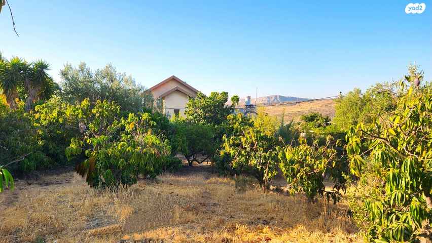 משק חקלאי/ נחלה, לבנים