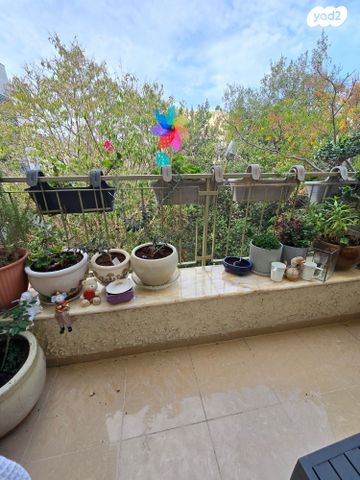 דירה, רוממה, חיפה