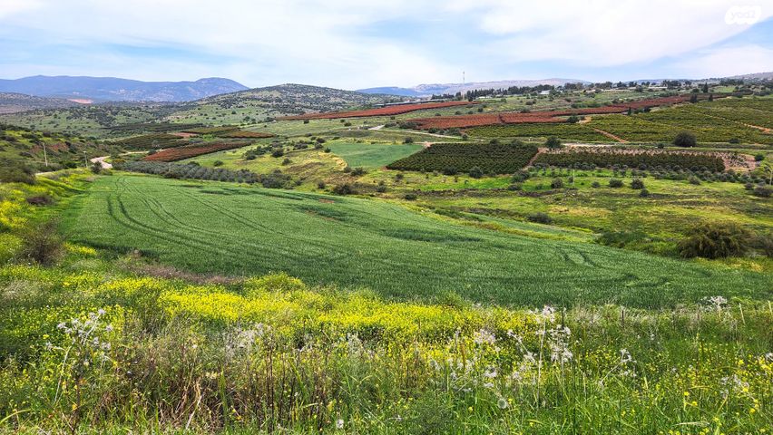 משק חקלאי/ נחלה, לבנים