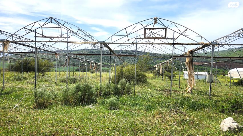 משק חקלאי/ נחלה, לבנים