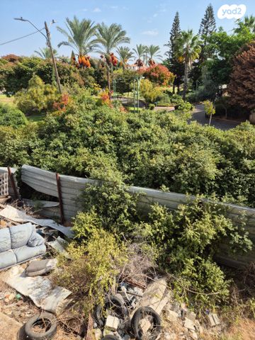 מגרשים, קדמת צבי, נווה דקלים, ראשון לציון