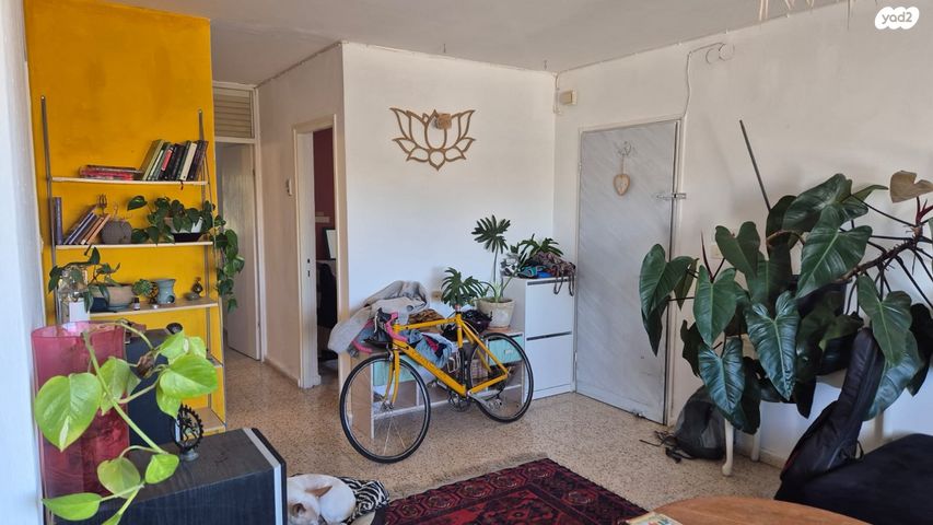 דירה, נחל סלעית 10, מצפה רמון