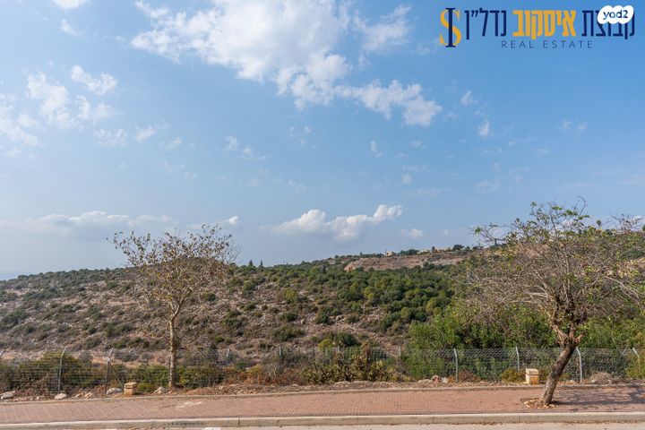 דו משפחתי, דרך האלון, קציר