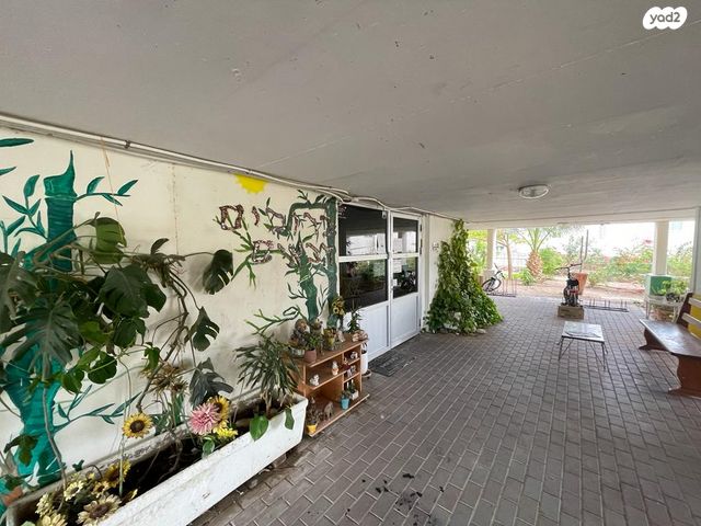 דירה, נביעות, צופית תחתית, אילת