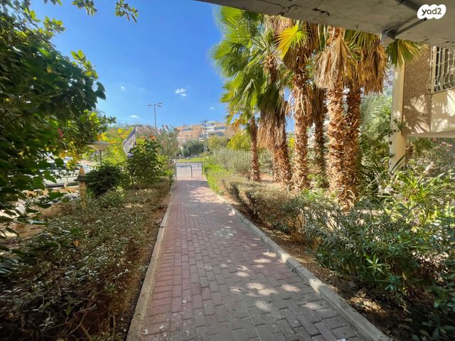 דירה, נביעות, צופית תחתית, אילת