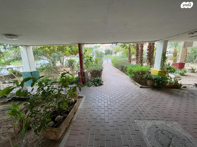 דירה, נביעות, צופית תחתית, אילת