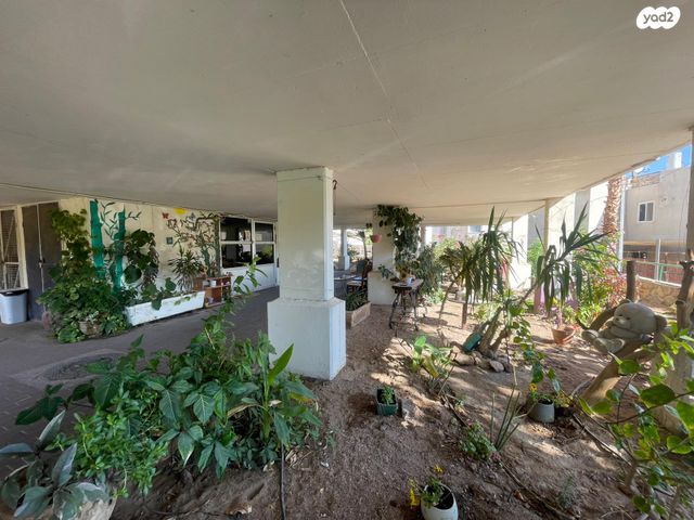 דירה, נביעות, צופית תחתית, אילת