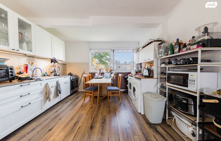 שבטי ישראל 11