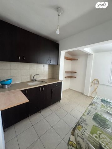 משעול הדקלים 