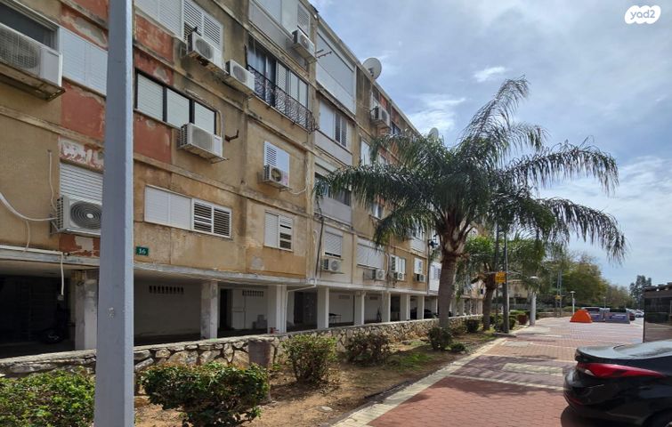 אפרים שריר 14