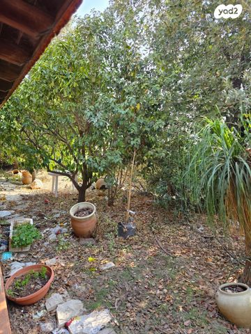 בית פרטי/ קוטג', עדי