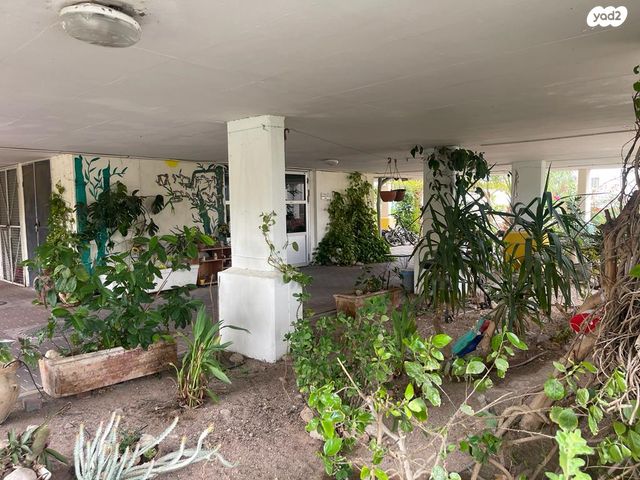 דירה, נביעות, צופית תחתית, אילת