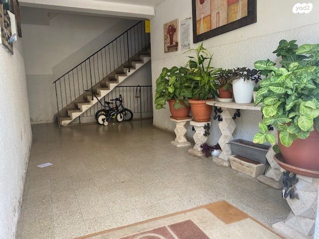 דירה, רחבעם זאבי, מרכז מזרחי, נס ציונה