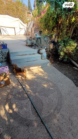 יחידת דיור, שיכון פועלים א', הוד השרון