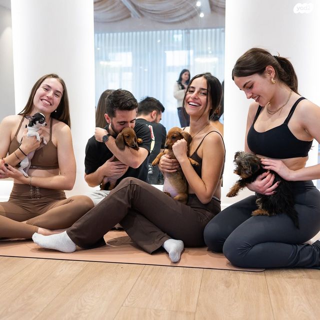 חנויות/ שטח מסחרי, תל אביב יפו