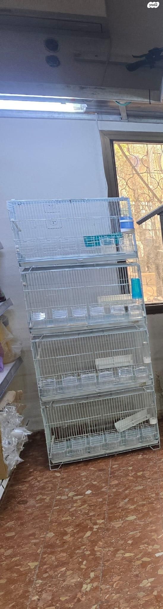 תמונת מודעה - חיות מחמד