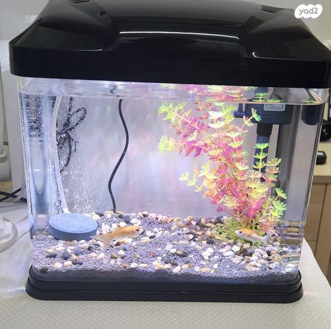 תמונת מודעה - חיות מחמד