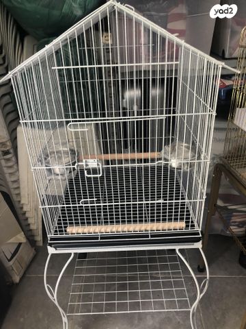 תמונת מודעה - חיות מחמד