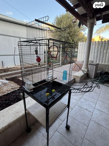 תמונת מודעה - חיות מחמד