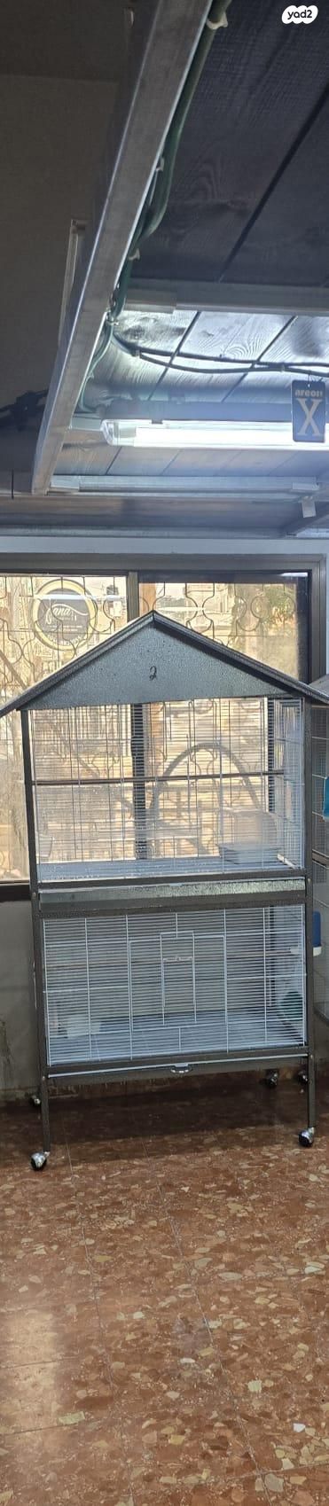 תמונת מודעה - חיות מחמד