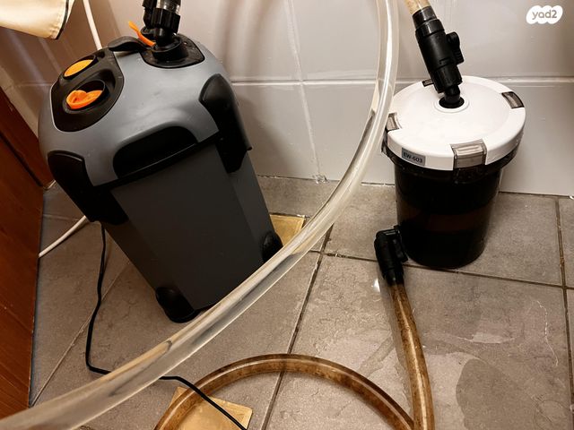 תמונת מודעה - חיות מחמד