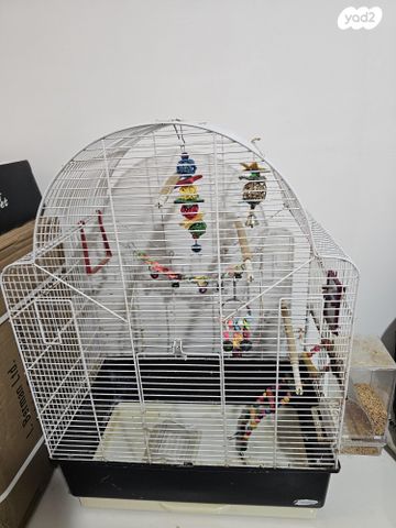 תמונת מודעה - חיות מחמד