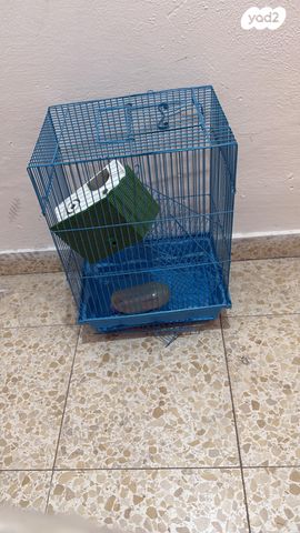 תמונת מודעה - חיות מחמד