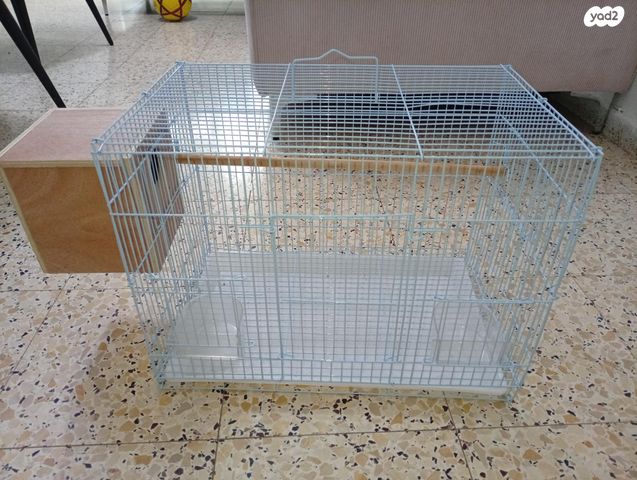 תמונת מודעה - חיות מחמד