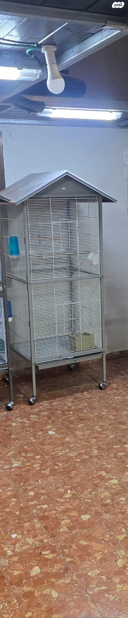 תמונת מודעה - חיות מחמד