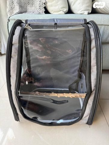 תמונת מודעה - חיות מחמד