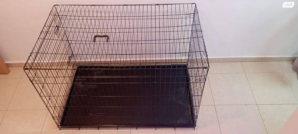 תמונת מודעה - חיות מחמד