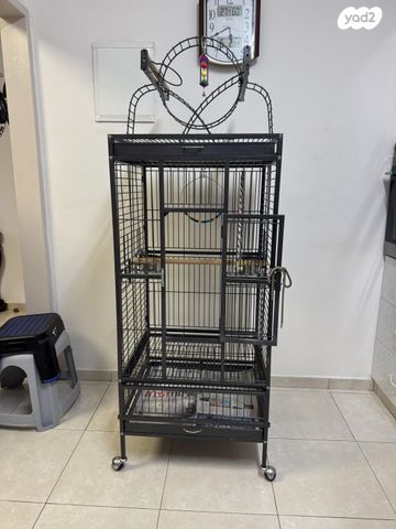 תמונת מודעה - חיות מחמד