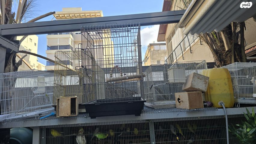 תמונת מודעה - חיות מחמד