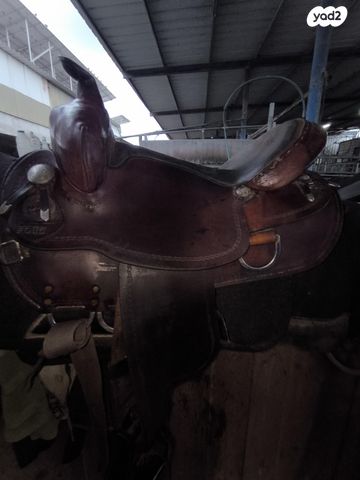 אביזרים | אוכף