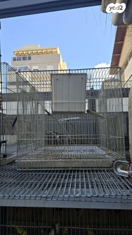 אביזרים | כלוב