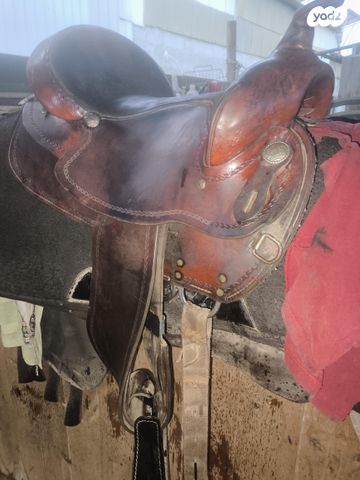 אביזרים | אוכף